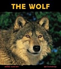 The Wolf (Paperback, Reprint)