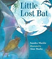 Little Lost Bat (School & Library, 1st)