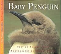 Baby Penguin (Paperback)