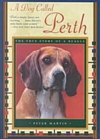A Dog Called Perth (Paperback, Reprint)