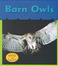 Barn Owls (Paperback)