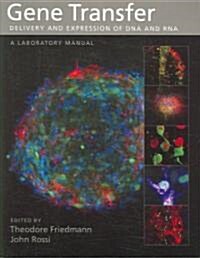 Gene Transfer: Delivery and Expression of DNA and RNA, a Laboratory Manual (Paperback)