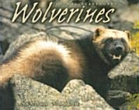 Wolverines (Paperback)