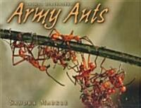 Army Ants (Paperback)