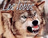 Los Lobos = Wolves (Library Binding)