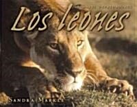 Los Leones = Lions (Library Binding)