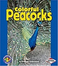 Colorful Peacocks (Paperback)