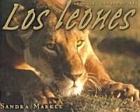 Los Leones / Lions (Paperback)