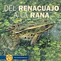 Del Renaucajo a La Rana / from Tadpole to Frog (Paperback)