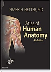 Atlas of Human Anatomy (Paperback, 4th)