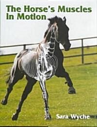The Horses Muscles in Motion (Hardcover)