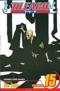 Bleach, Vol. 15 (Paperback)