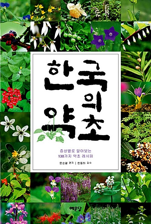 [중고] 한국의 약초