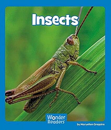 Insects (Paperback)