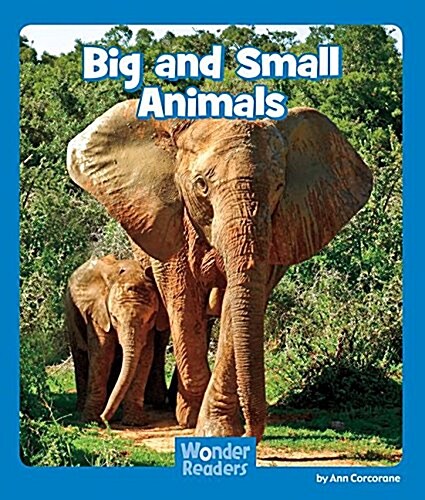 Big and Small Animals (Paperback)