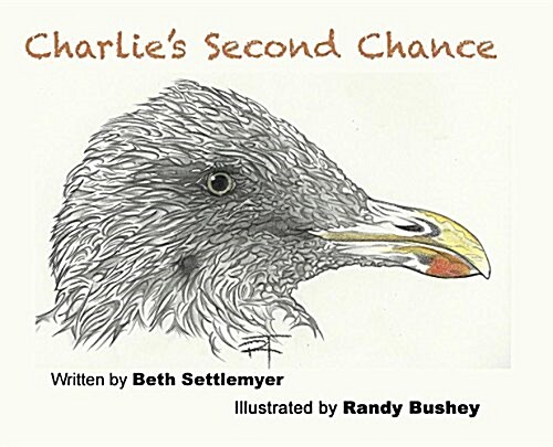 Charlies Second Chance (Hardcover)