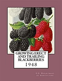 Growing Erect and Trailing Blackberries (Paperback)