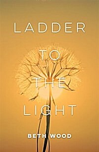 Ladder to the Light (Paperback)