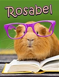 Rosabel: Personalized Book with Name, Journal, Notebook, Diary, 105 Lined Pages, 8 1/2 X 11, Birthday, Friendship, Christmas (Paperback)