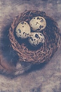 Nest of Eggs Notebook: 150 Lined Pages, Softcover, 6 X 9 (Paperback)