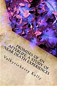 Promises of an Afterlife: A Study of Near Death Experiences (Paperback)