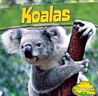 Koalas (Paperback)