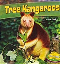 Tree Kangaroos (Paperback)