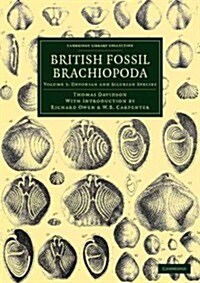 British Fossil Brachiopoda (Paperback)