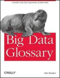 Big data glossary