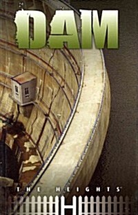 Dam (Paperback)