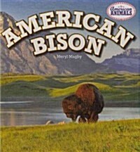 American Bison (Library Binding)