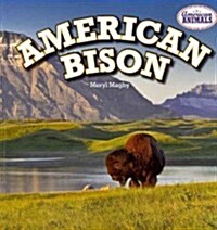 American Bison (Paperback)