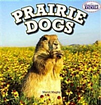 Prairie Dogs (Paperback)