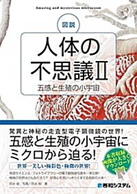 圖說 人體の不思議II[五感と生殖の小宇宙] (單行本)