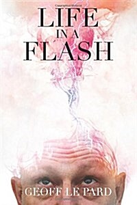 Life in a Flash (Paperback)