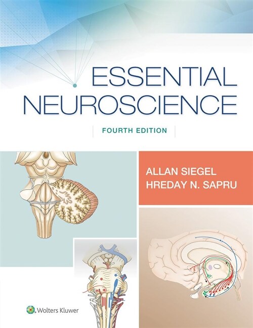 Essential Neuroscience (Paperback, 4)