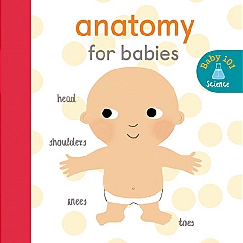 Baby 101: Anatomy for Babies (Board Books)