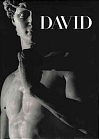 David : Michelangelo (Hardcover)