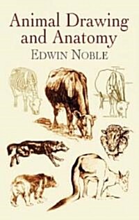 Animal Drawing and Anatomy (Paperback)