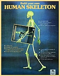 Human Skeleton (Paperback)