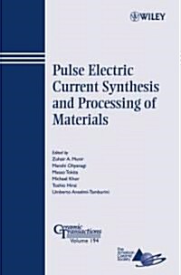 Pulse Electric Current Synthesis and Processing of Materials (Paperback)