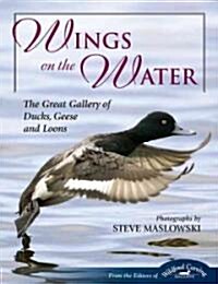 Wings on the Water (Hardcover)