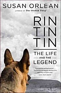 Rin Tin Tin (Hardcover, Large Print)