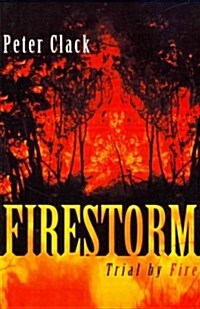 Firestorm (Paperback)