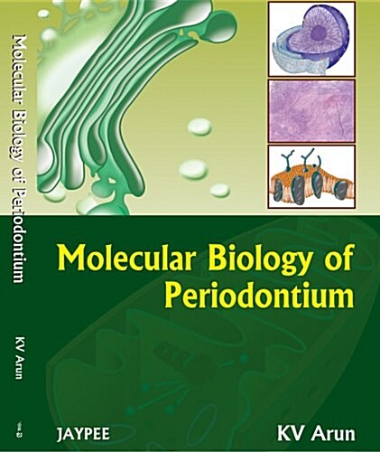 Molecular Biology of Periodontium (Paperback, 1st)