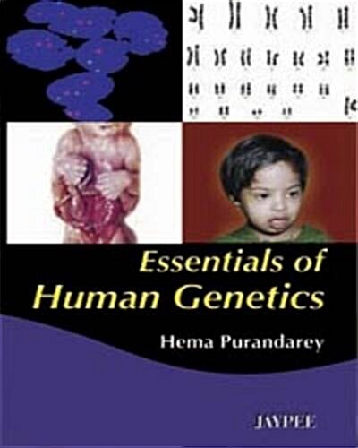 Essentials of Human Genetics (Paperback, 2)