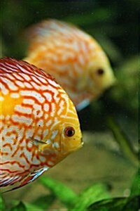 Discus Fish Notebook: 150 Lined Pages, Softcover, 6 X 9 (Paperback)