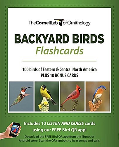 Bird Id Flash Cards (Eastern & Central Na) (Other)