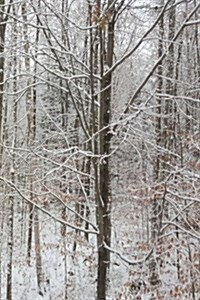 Journal Winter Snow Covered Bare Tree Branches: (Notebook, Diary, Blank Book) (Paperback)