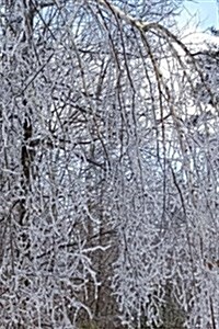 Winter Journal Scenic Forest Ice Storm: (Notebook, Diary, Blank Book) (Paperback)